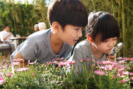 儿童花朵幸福的家庭在庭院里避暑背景