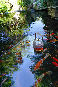 夏日鱼塘边上的茶具图片