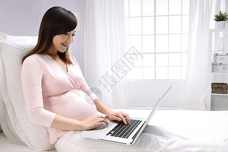 网络幸福彩色图片孕妇使用笔记本电脑图片