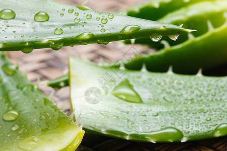 美容 水自然清新芦荟背景