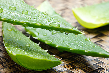 水滴叶子草药清新芦荟背景