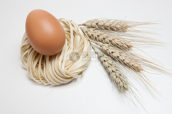 蛋白质挂面麦穗鸡蛋图片