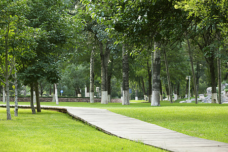 绿色城市自然图公园木板小路背景
