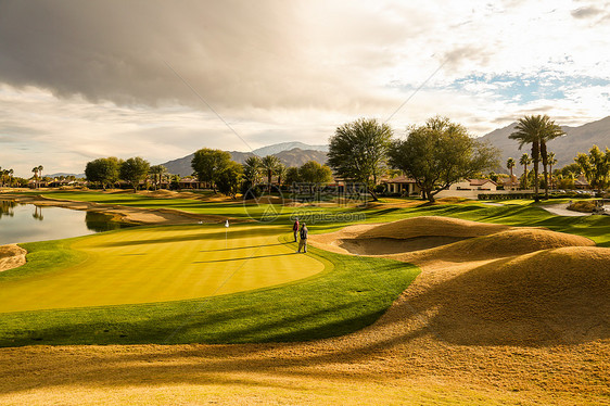 彩色图片棕榈树日光高尔夫球场图片