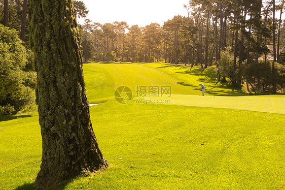 休闲活动旅行高尔夫球场图片