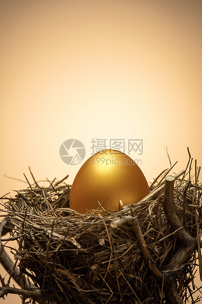 理财生长财富树杈上鸟窝里的金蛋图片