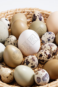 筐里的鸡蛋鸭蛋鹌鹑蛋图片