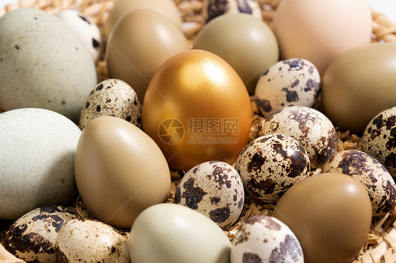 筐里的鸡蛋鸭蛋鹌鹑蛋金蛋图片