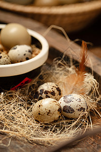 碗旁的鹌鹑蛋和羽毛图片