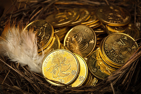 保护钱鸟巢里的金币背景