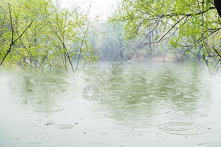 春雨滴在水面引起波纹图片