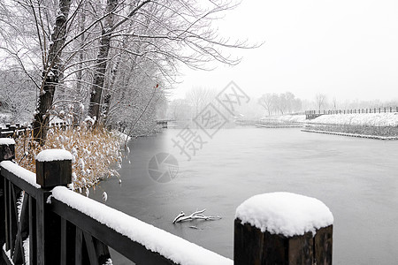 下雪后的湖边和山上风景图片