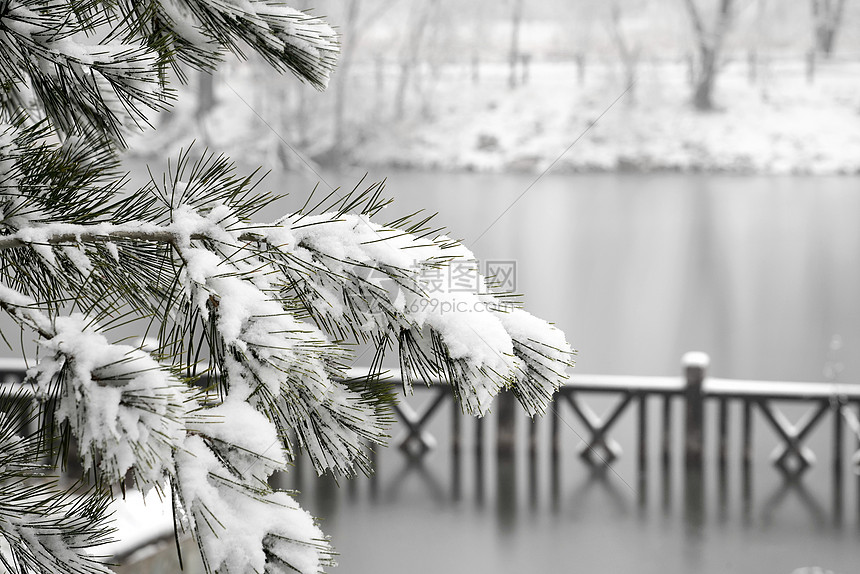 立冬二十四节气环境大雪后的景象图片