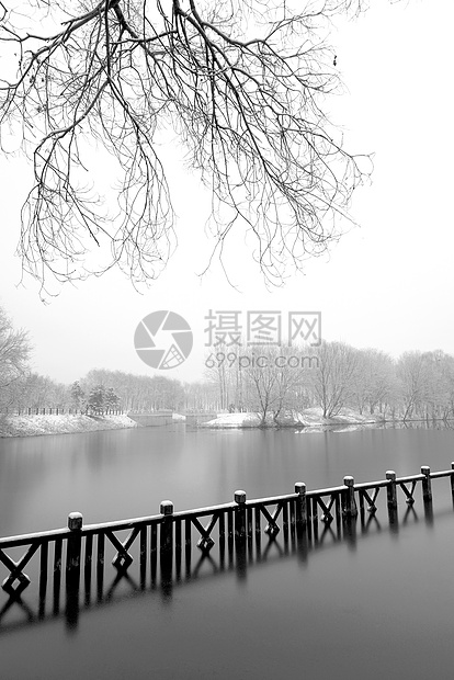 立冬二十四节气环境大雪后的景象图片