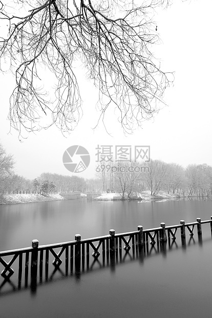 立冬二十四节气环境大雪后的景象图片