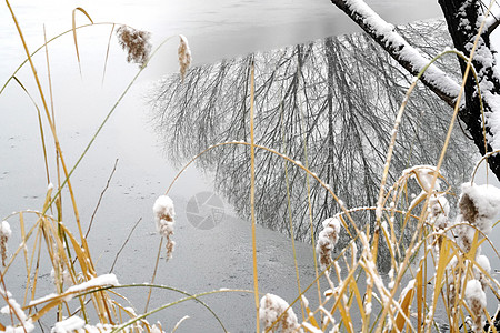 立冬二十四节气环境大雪后的景象图片