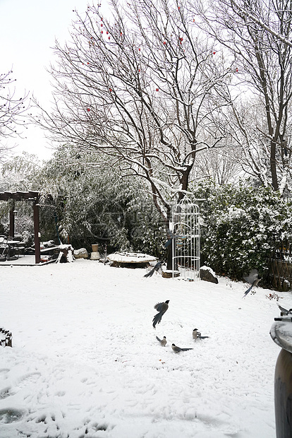 立冬二十四节气环境大雪后的景象图片