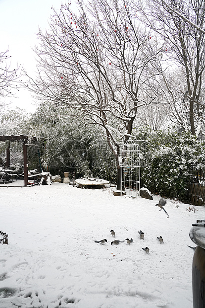 立冬二十四节气环境大雪后的景象图片