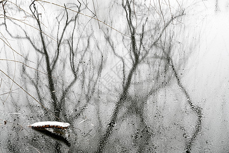 立冬二十四节气环境大雪后的景象图片