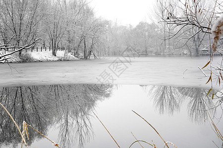 立冬二十四节气环境大雪后的景象图片