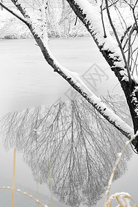 雪后初霁立冬二十四节气环境大雪后的景象背景