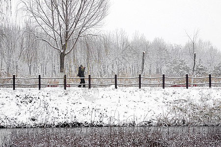 立冬二十四节气环境大雪后的景象图片