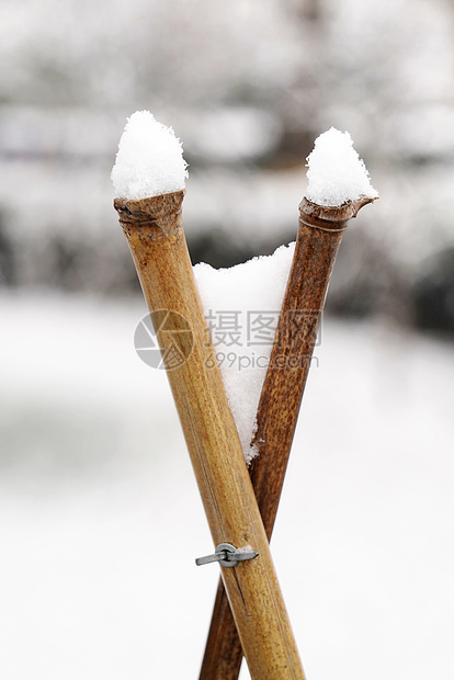 立冬二十四节气环境大雪后的景象图片