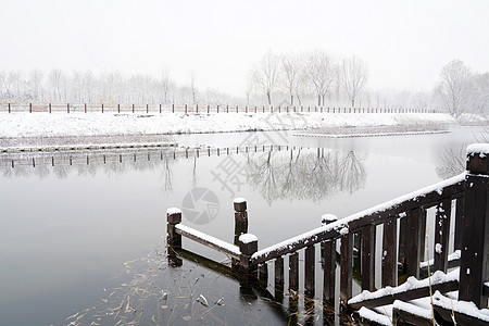 立冬二十四节气环境大雪后的景象图片