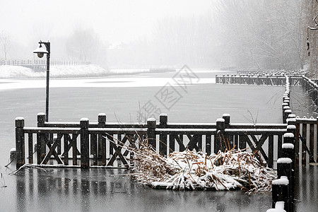 立冬二十四节气环境大雪后的景象图片