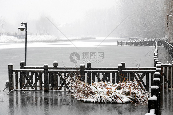 立冬二十四节气环境大雪后的景象图片