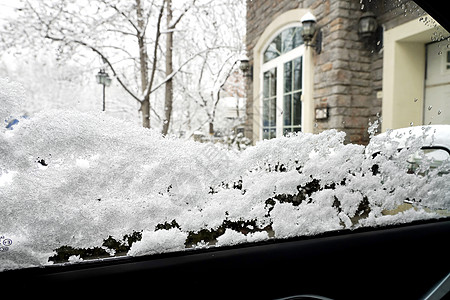 被雪覆盖的树木图片