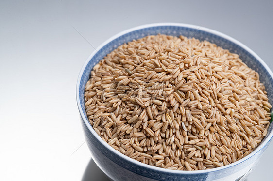 无污染粮食燕麦米图片