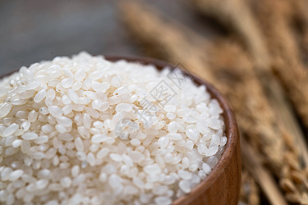 大米水稻粮食大米和水稻背景