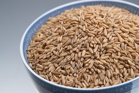 粮食粗粮燕麦米背景图片