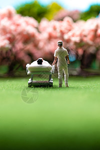 草地上护士陪着病人赏樱花高清图片