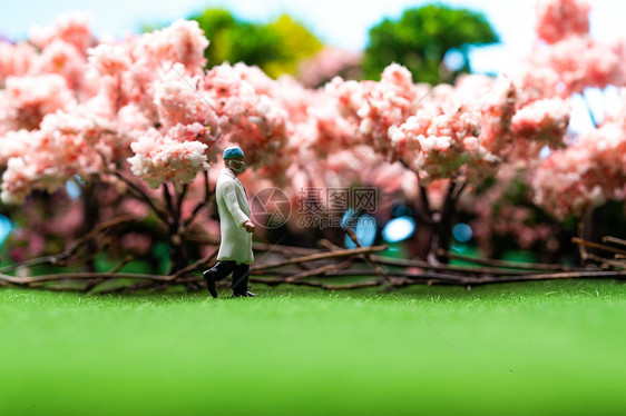 樱花树下草地上医生行走的身影图片