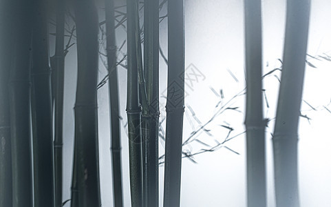 园艺阴影雾色中的竹林图片