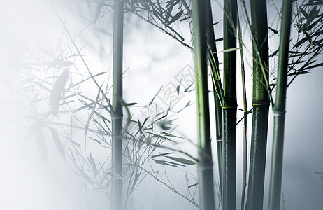 意境图像特效绿色雾色中的竹林图片