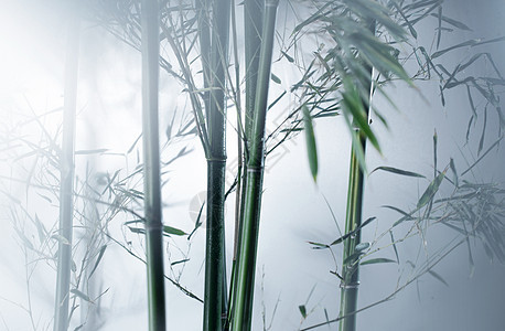 美景传统文化图像特效雾色中的竹林图片