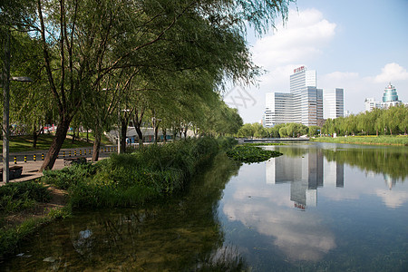 建筑结构路树北京奥体中心公园图片