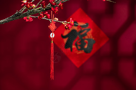礼物春节祝福悬挂在梅花下面的结图片