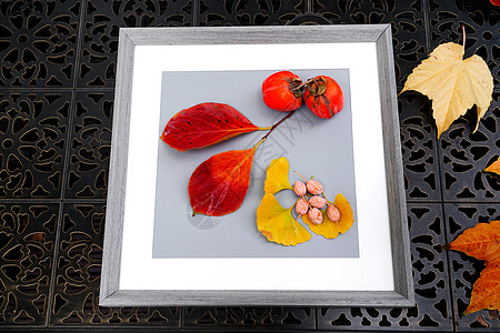 象征民族花纹白果柿子和银杏果的创意画背景