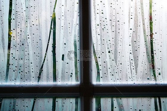 玻璃雨后的窗户局部图片