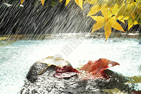 湖雨反射雨水里的红叶背景