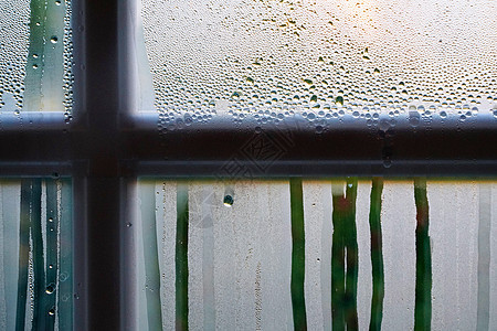 水滴透明阴天雨后的窗户局部图片