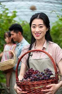 大棚蔬果幸福夫妇在采摘蔬果背景