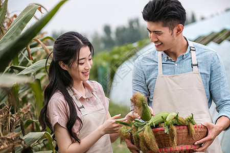 幸福夫妇在采摘蔬果图片