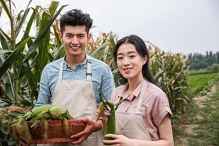 幸福夫妇在采摘蔬果图片