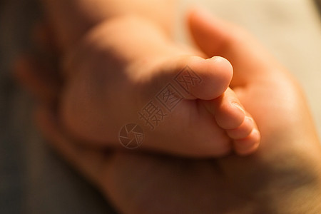 妈妈手捧宝宝的脚丫图片