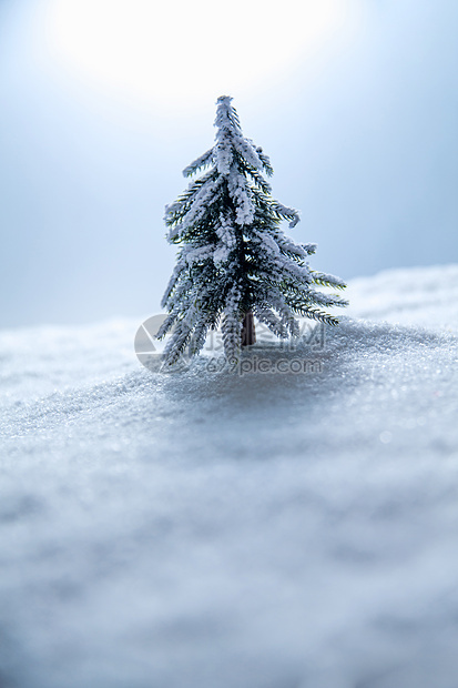 摄影彩色图片雪景圣诞树图片